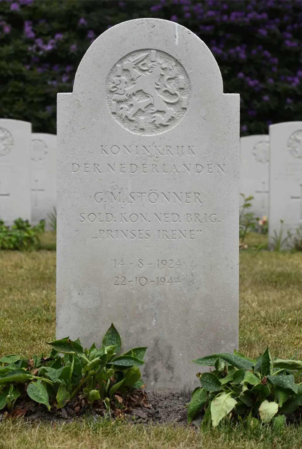 Adoptiegraven-Mierlo-War-Cemetery-graven-adopties-nederlands-graf