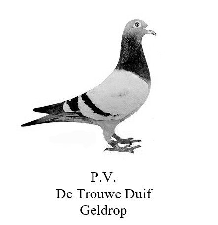 P.V. De Trouwe Duif Geldrop